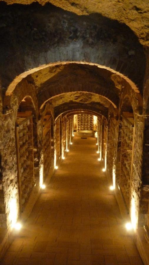 Ciglieri Santermo Casciana Terme Lari Pet&Bike Friendly Free Park Daire Dış mekan fotoğraf