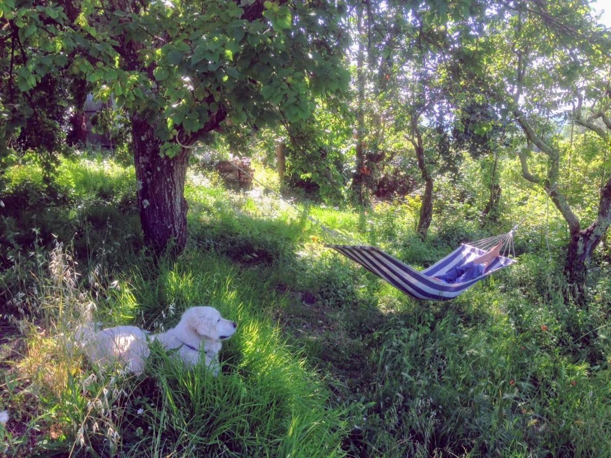 Ciglieri Santermo Casciana Terme Lari Pet&Bike Friendly Free Park Daire Dış mekan fotoğraf