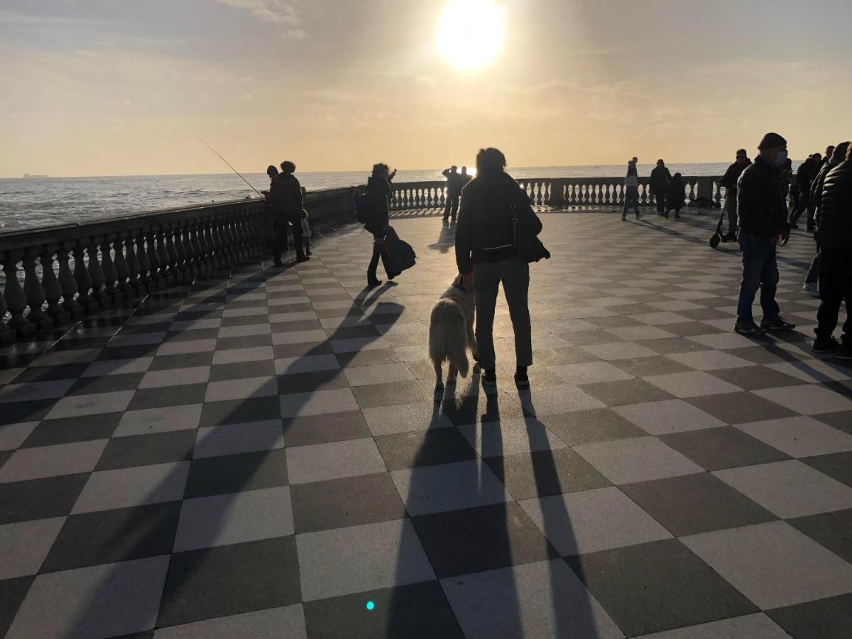 Ciglieri Santermo Casciana Terme Lari Pet&Bike Friendly Free Park Daire Dış mekan fotoğraf